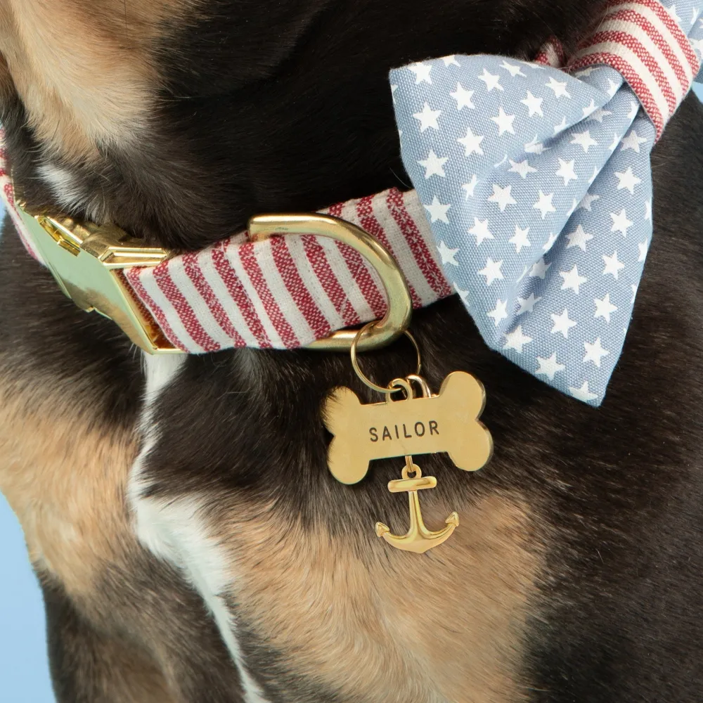 Outlet The Foggy Dog Anchors Away Collar Charm Set