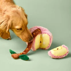 Online The Foggy Dog Apple Interactive Snuffle Dog Toy