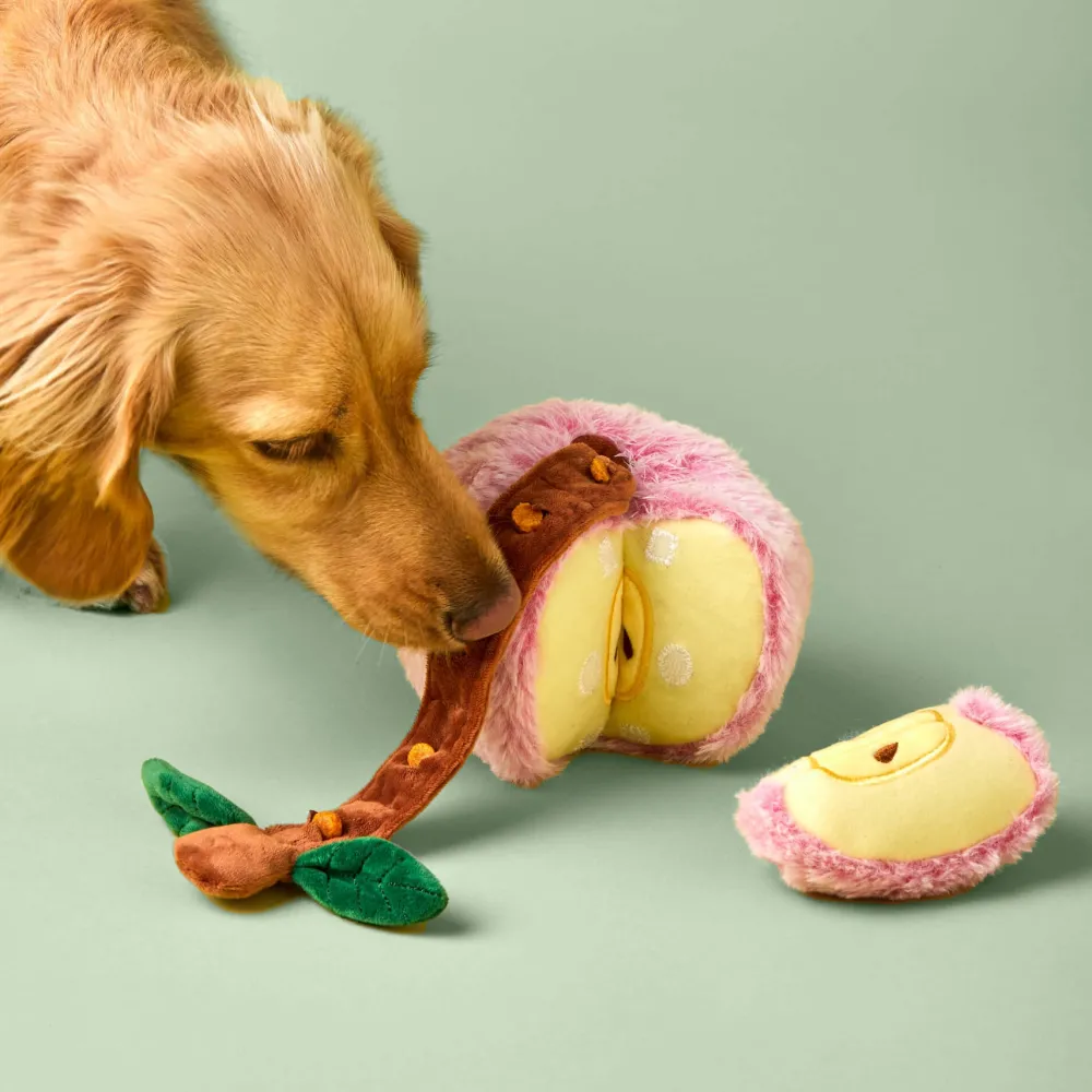 Online The Foggy Dog Apple Interactive Snuffle Dog Toy