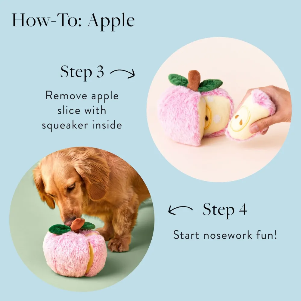 Online The Foggy Dog Apple Interactive Snuffle Dog Toy
