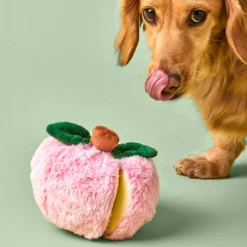 Online The Foggy Dog Apple Interactive Snuffle Dog Toy