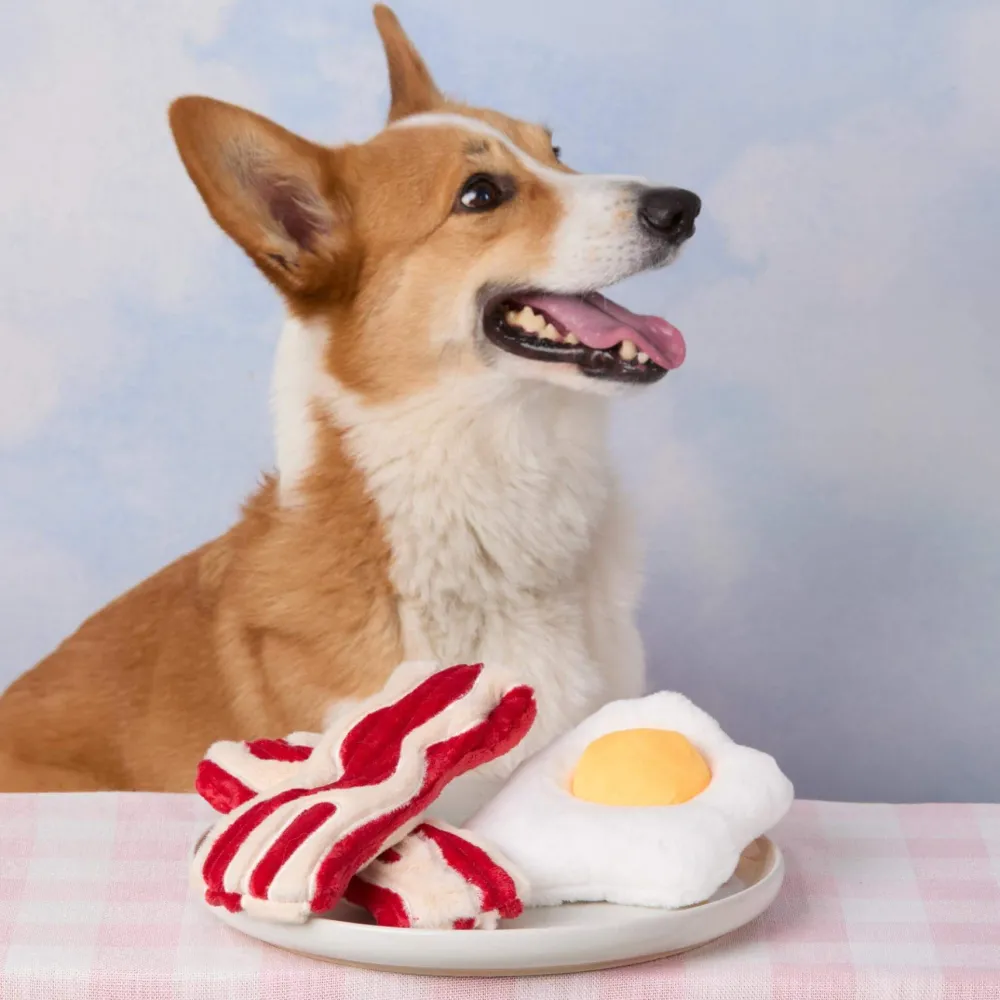Online The Foggy Dog Bacon and Egg Interactive Snuffle Dog Toy