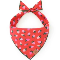 Hot The Foggy Dog Berry Sweet Dog Bandana