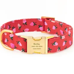Hot The Foggy Dog Berry Sweet Dog Collar