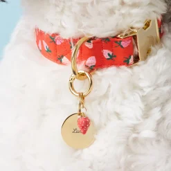 Hot The Foggy Dog Berry Sweet Dog Collar