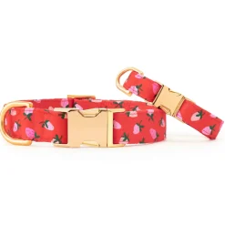 Hot The Foggy Dog Berry Sweet Dog Collar