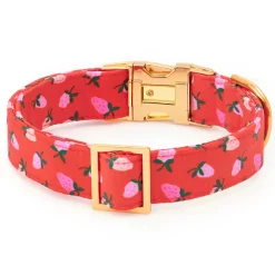 Hot The Foggy Dog Berry Sweet Dog Collar