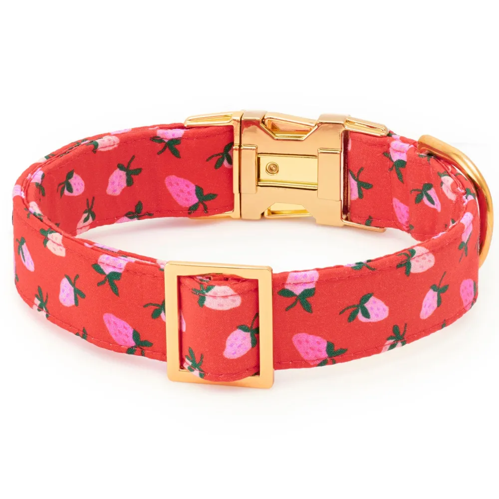 Hot The Foggy Dog Berry Sweet Dog Collar