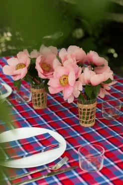Discount Heather Taylor Home Betty Plaid Red Napkins