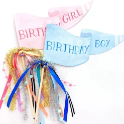 Best Cami Monet Birthday Girl Party Pennant