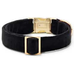 Discount The Foggy Dog Black Velvet Dog Collar