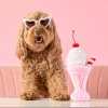 Best The Foggy Dog Burger and Shake Interactive Toy Set