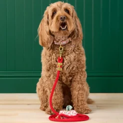The Foggy Dog Cherry Jubilee Waste Bag Holder