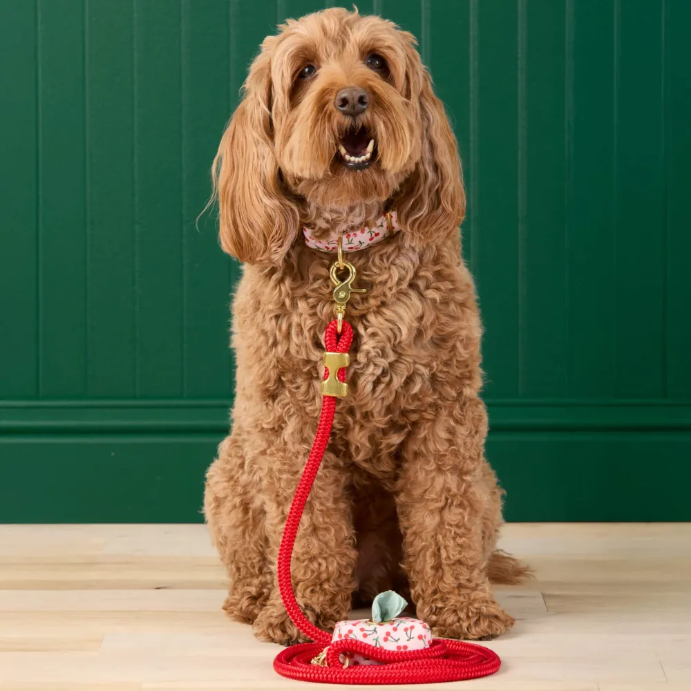 The Foggy Dog Cherry Jubilee Waste Bag Holder