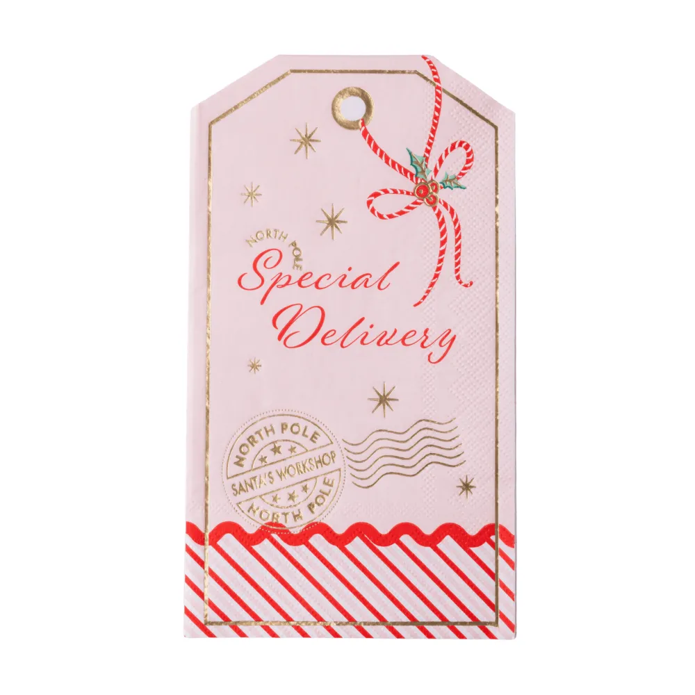 Clearance Bonjour Fete Christmas Gift Tag Guest Towels
