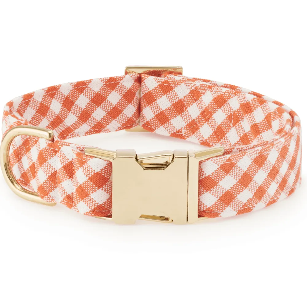 Discount The Foggy Dog Cider Gingham Collar Walk Set