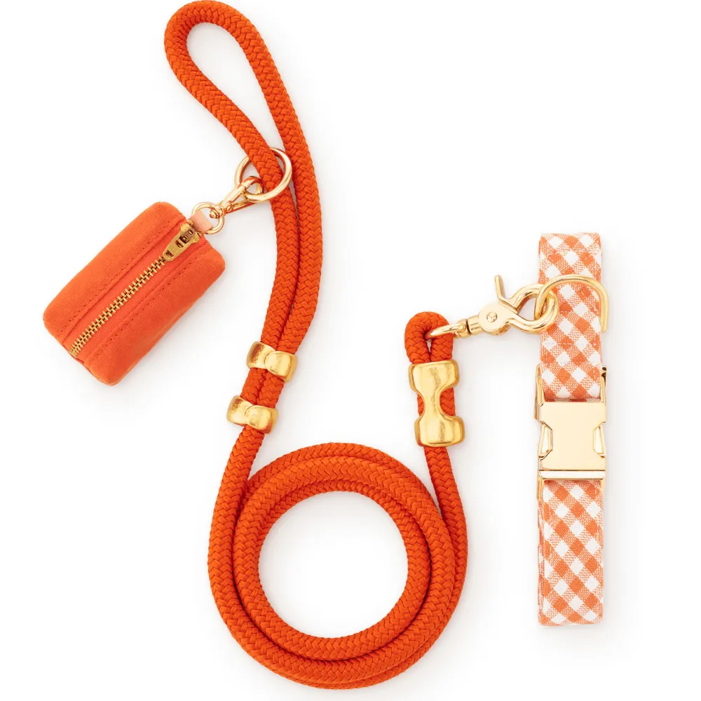 Discount The Foggy Dog Cider Gingham Collar Walk Set