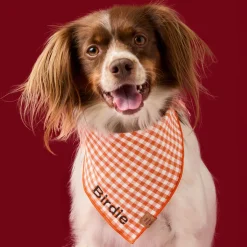 New The Foggy Dog Cider Gingham Dog Bandana