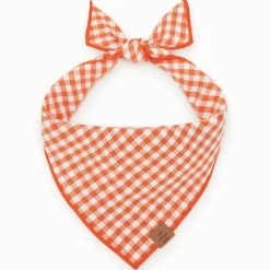 New The Foggy Dog Cider Gingham Dog Bandana