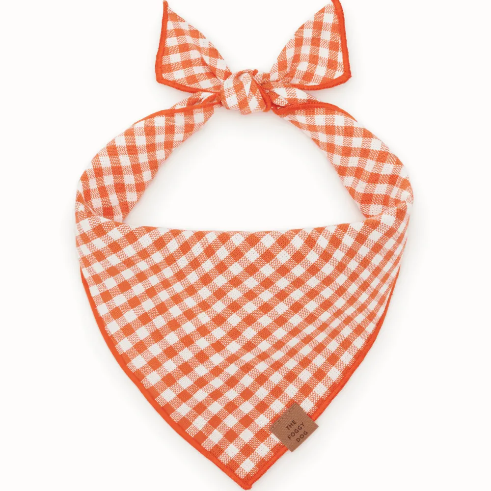 New The Foggy Dog Cider Gingham Dog Bandana