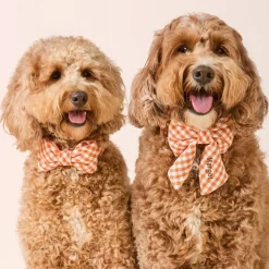 Online The Foggy Dog Cider Gingham Dog Bow Tie