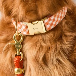 Discount The Foggy Dog Cider Gingham Dog Collar