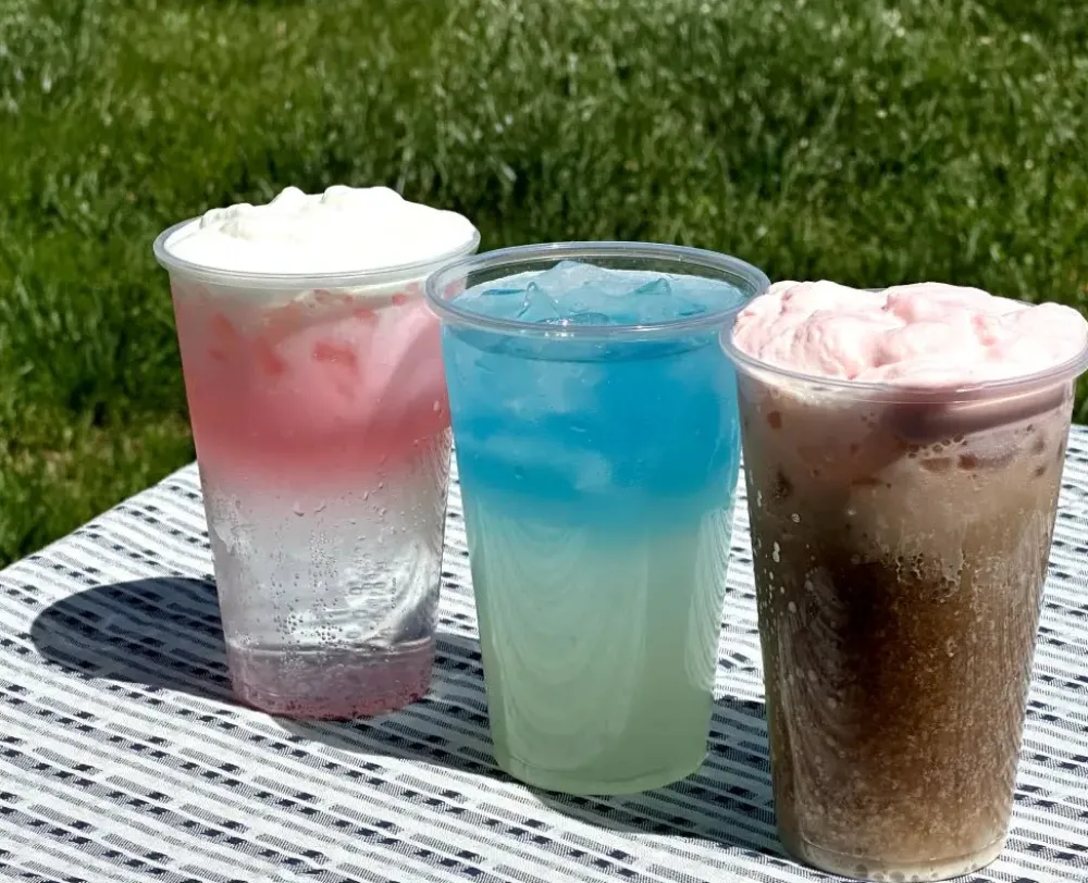 Outlet Teaspressa Cold Foam Coffee Mixer Cubes