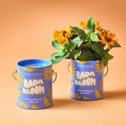 Hot Modern Sprout Complimentary Colors Grow Kit