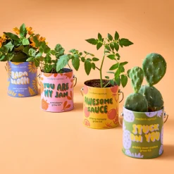 Hot Modern Sprout Complimentary Colors Grow Kit