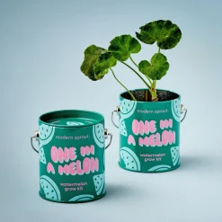 Hot Modern Sprout Complimentary Colors Grow Kit