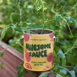 Hot Modern Sprout Complimentary Colors Grow Kit