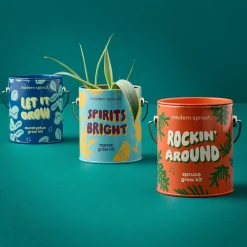 Hot Modern Sprout Complimentary Colors Grow Kit