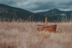 Picnic Time Family of Brands Country Picnic Basket