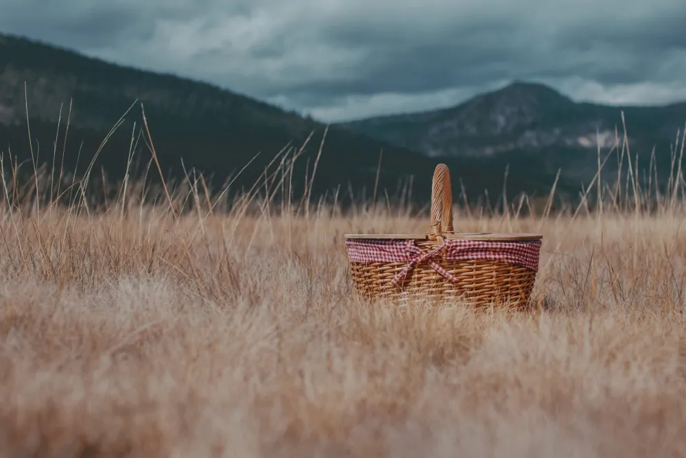 Picnic Time Family of Brands Country Picnic Basket