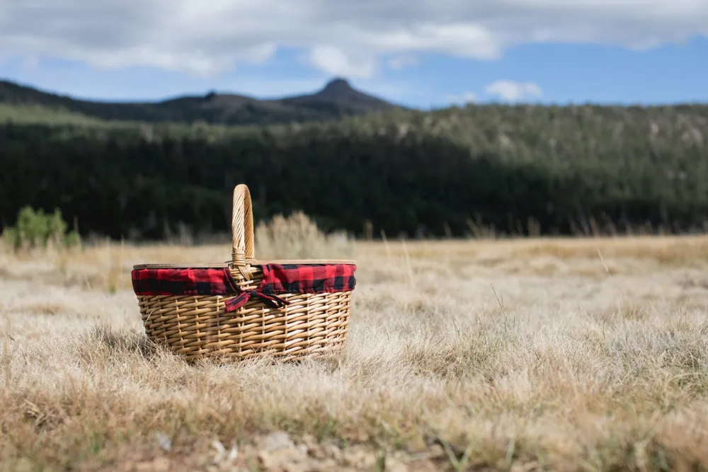 Picnic Time Family of Brands Country Picnic Basket