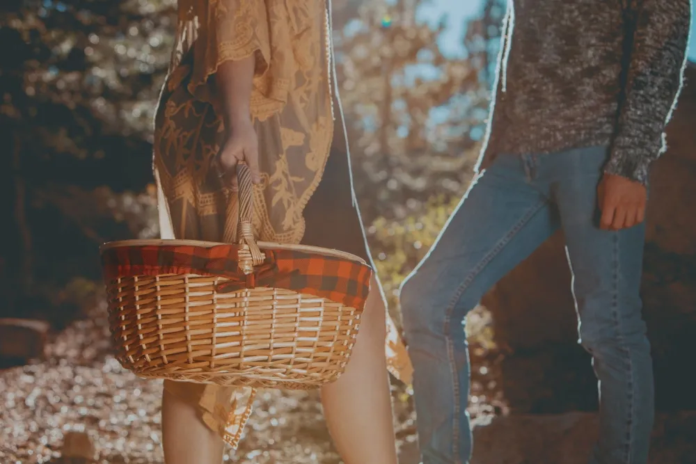 Picnic Time Family of Brands Country Picnic Basket