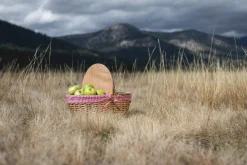 Picnic Time Family of Brands Country Picnic Basket