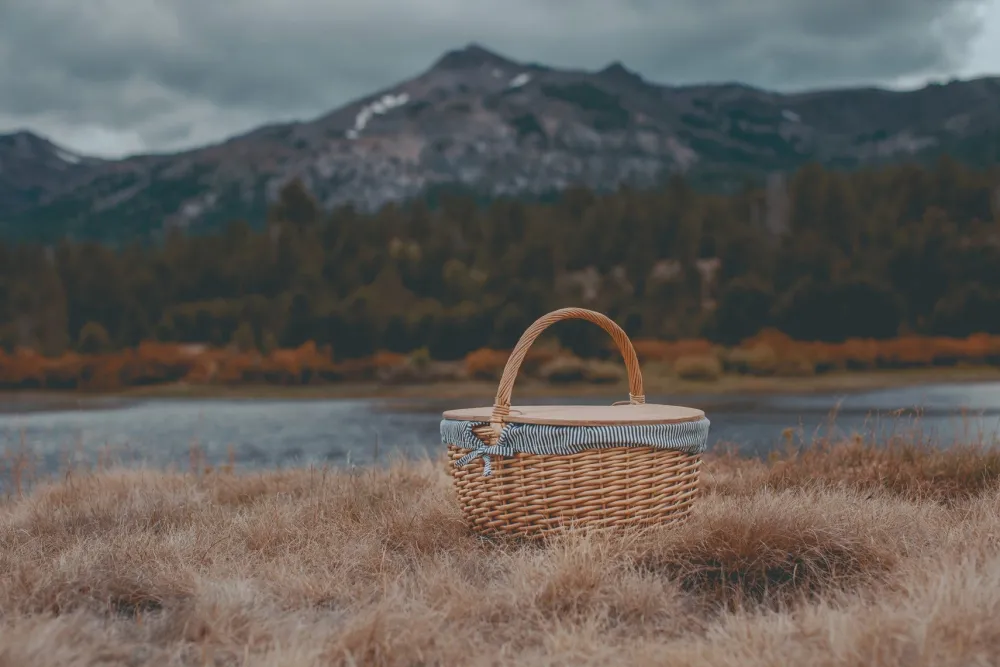 Picnic Time Family of Brands Country Picnic Basket