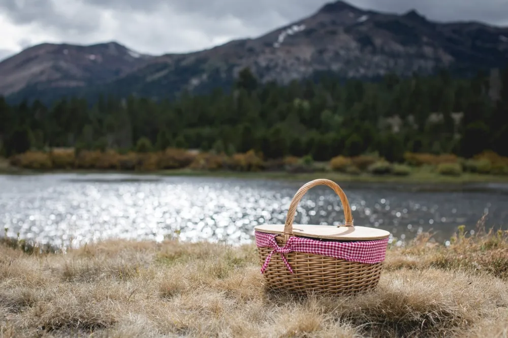 Picnic Time Family of Brands Country Picnic Basket