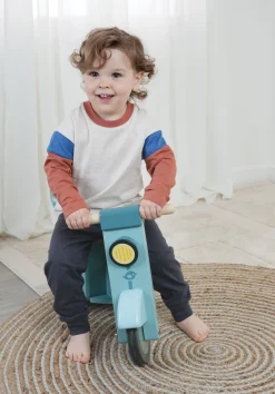 Best Tender Leaf Delivery Scooter