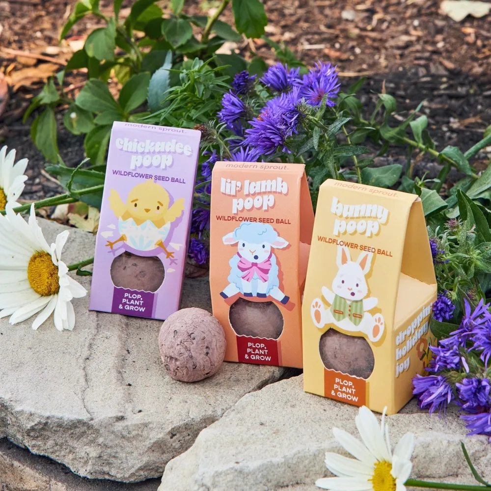 Discount Modern Sprout Easter Wildflower Seed Ball