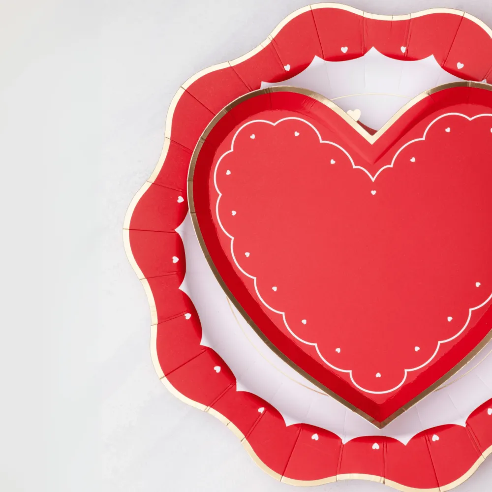 New Bonjour Fete Elegant Valentine Dinner Plates