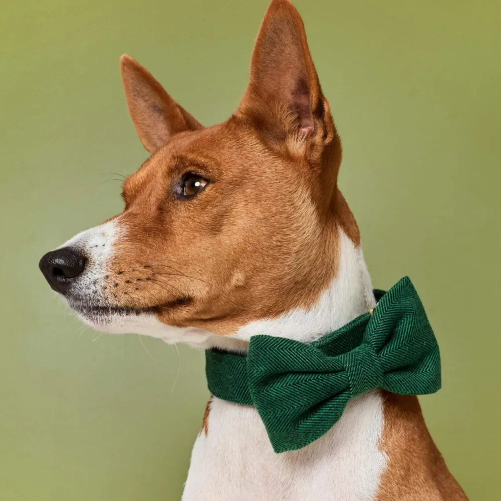 Best The Foggy Dog Evergreen Herringbone Flannel Dog Bow Tie