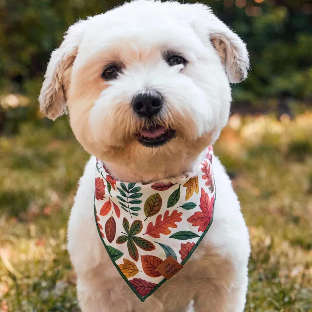 Outlet The Foggy Dog Falling Leaves Dog Bandana