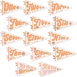 Clearance Lucy Darling Flower Child Petit Milestone Pennants