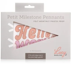Clearance Lucy Darling Flower Child Petit Milestone Pennants