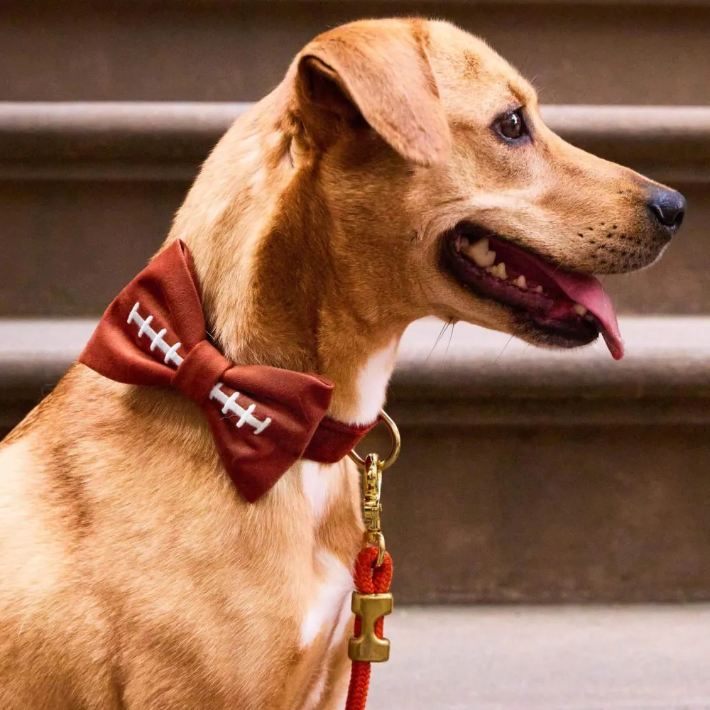 New The Foggy Dog Football Embroidered Bow Tie Collar