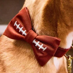 Hot The Foggy Dog Football Embroidered Dog Bow Tie