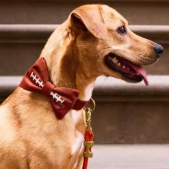 Hot The Foggy Dog Football Embroidered Dog Bow Tie
