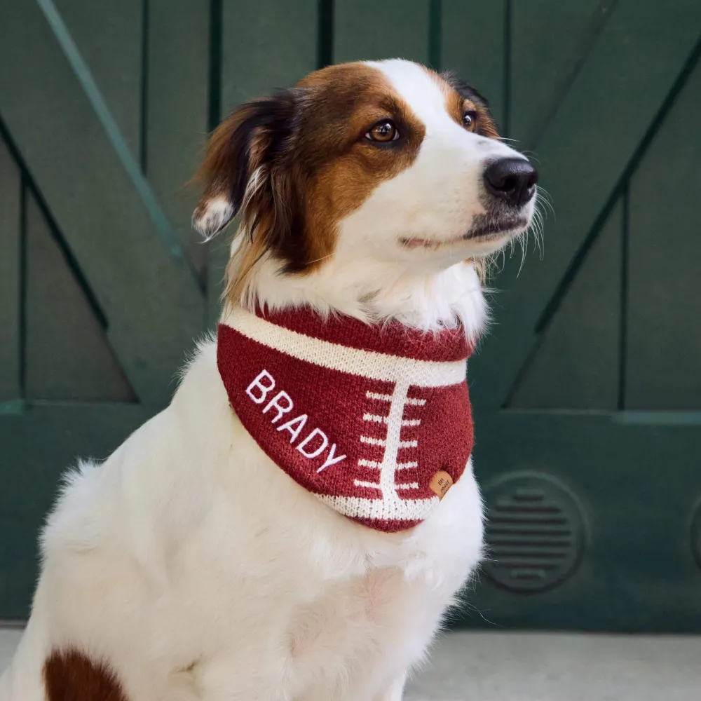 Sale The Foggy Dog Football Knit Dog Bandana